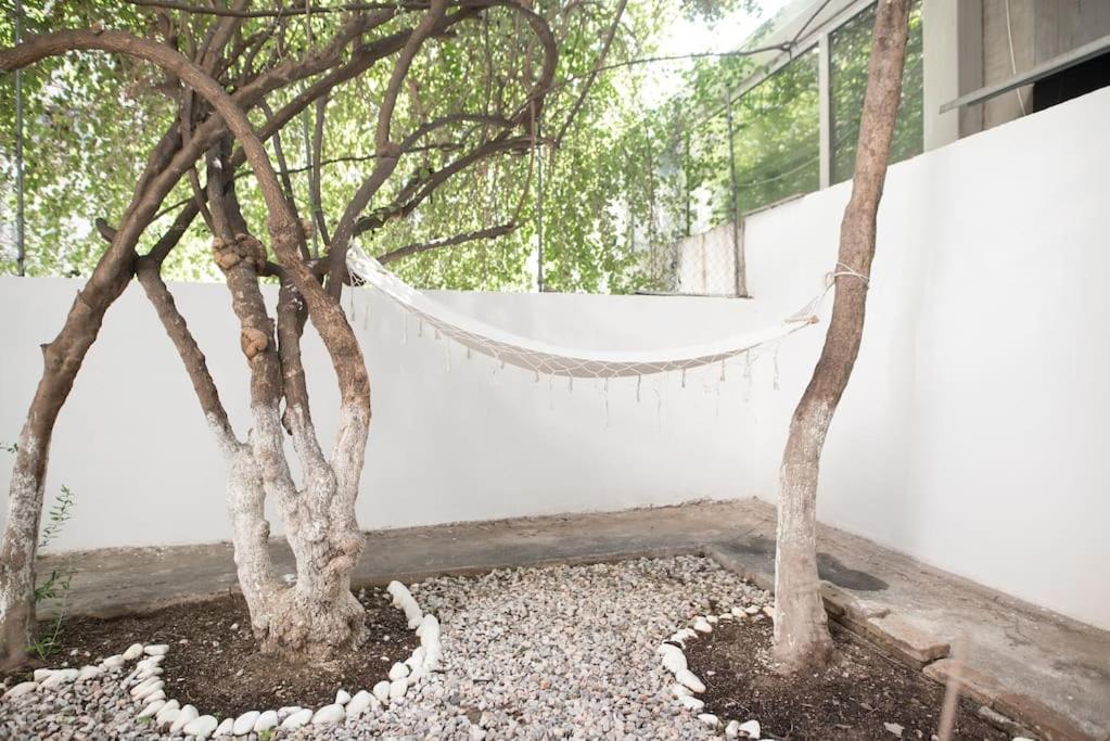 Luxury Studio With Garden Next To Acropolis Афины Экстерьер фото